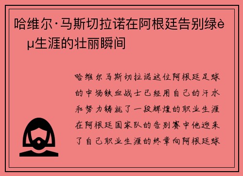 哈维尔·马斯切拉诺在阿根廷告别绿茵生涯的壮丽瞬间 哈维尔·马斯切拉诺在阿根廷告别绿茵生涯的壮丽瞬间